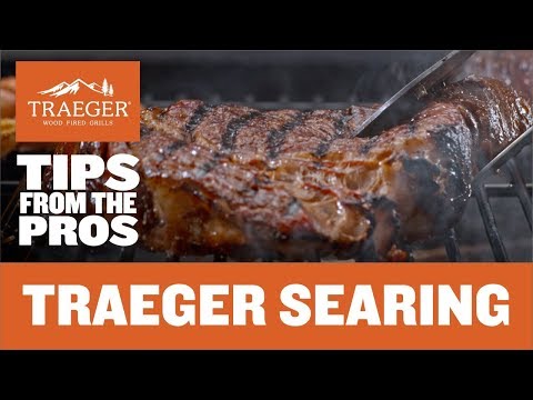 Traeger ModiFire Sear Grate 18.25 in. L X 11.5 in. W